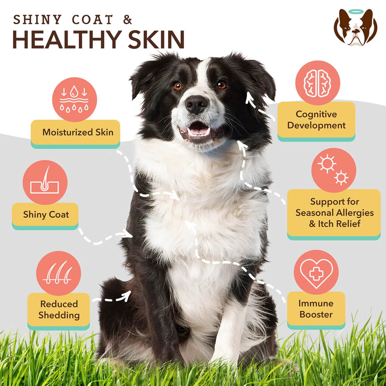 Skin & Coat Supplement product image 2
