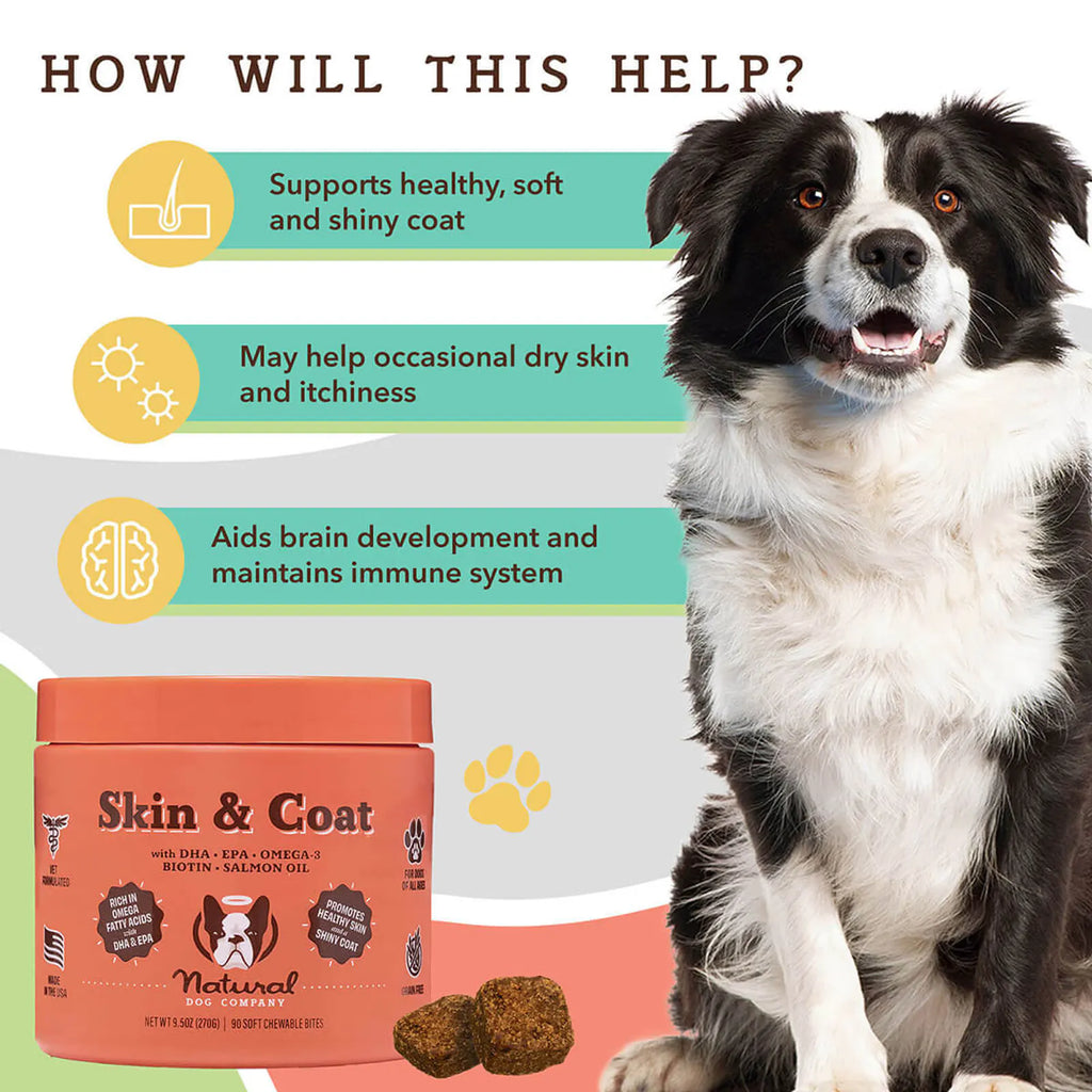 Skin & Coat Supplement product image 3