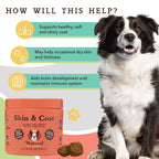 Skin & Coat Supplement product image 3