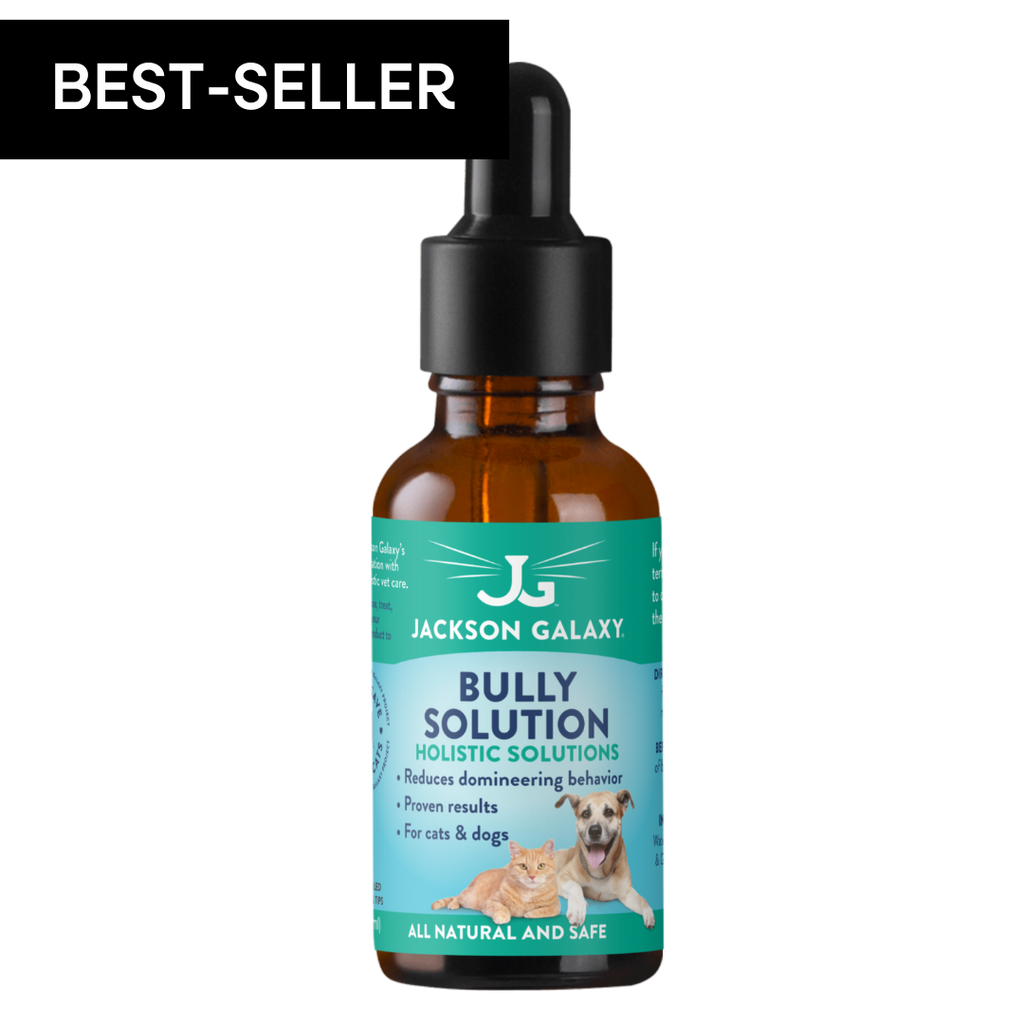Flower Essence Calming Drops for Cats product image 1