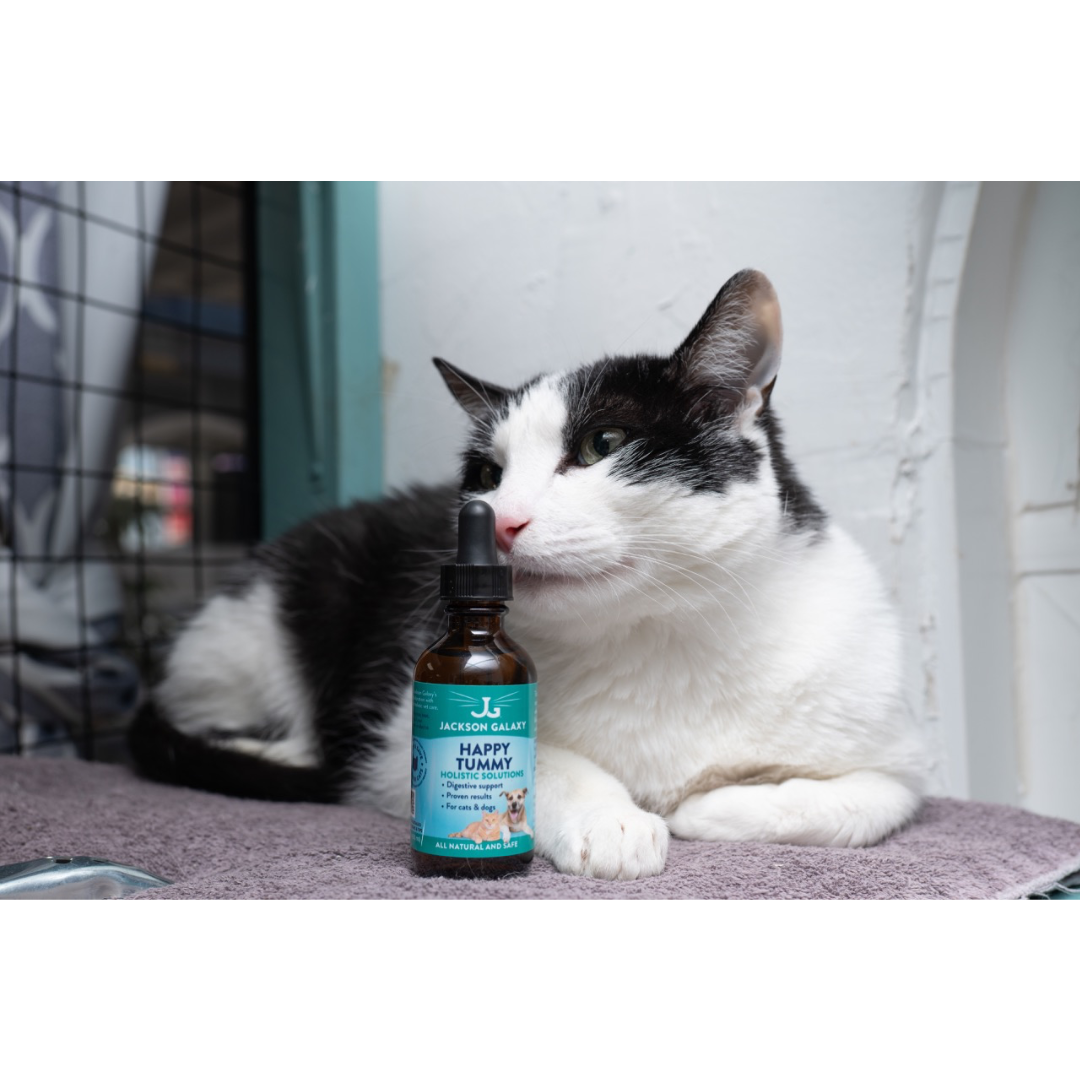 Pet Digestive Aid product image 2