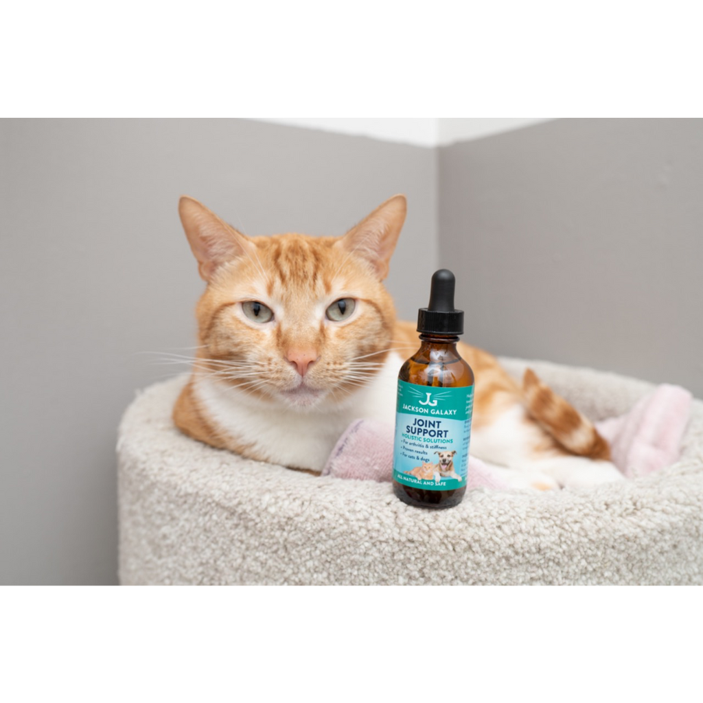 Pet Joint Support product image 2