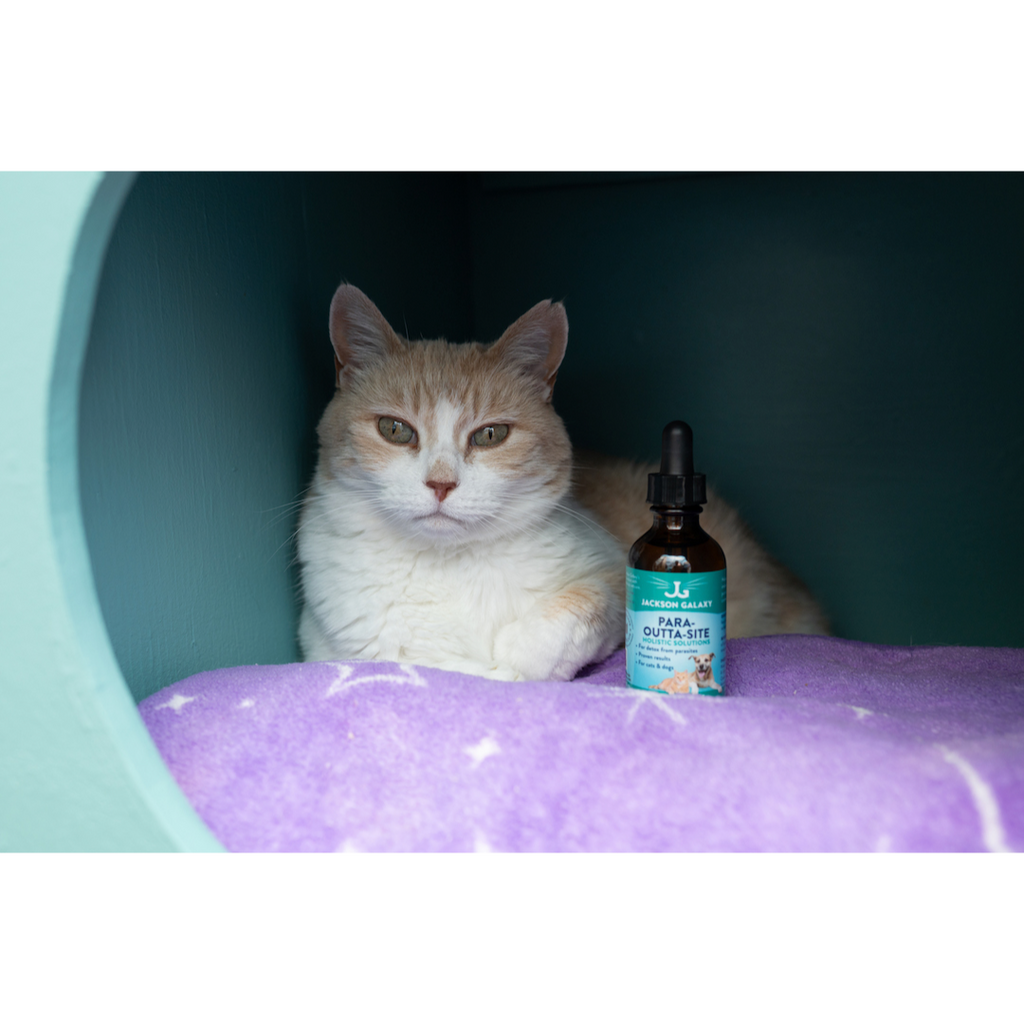Pet Flower Essence product image 2