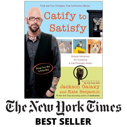 Cat Care Book product image 1