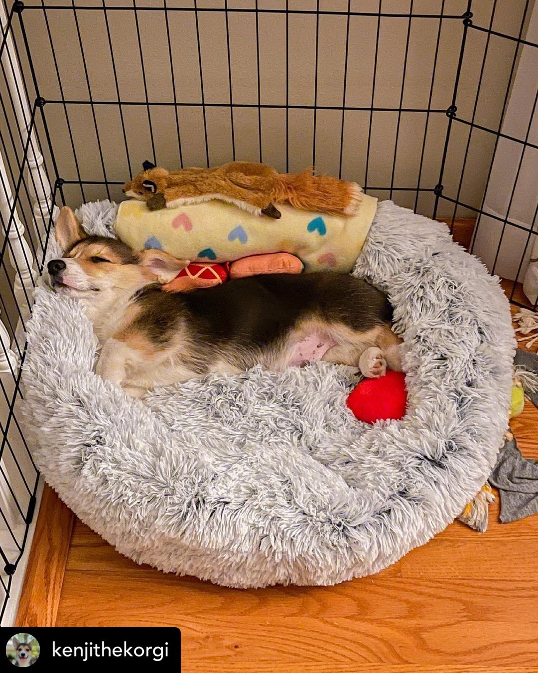 Orthopedic Pet Bed product image 31