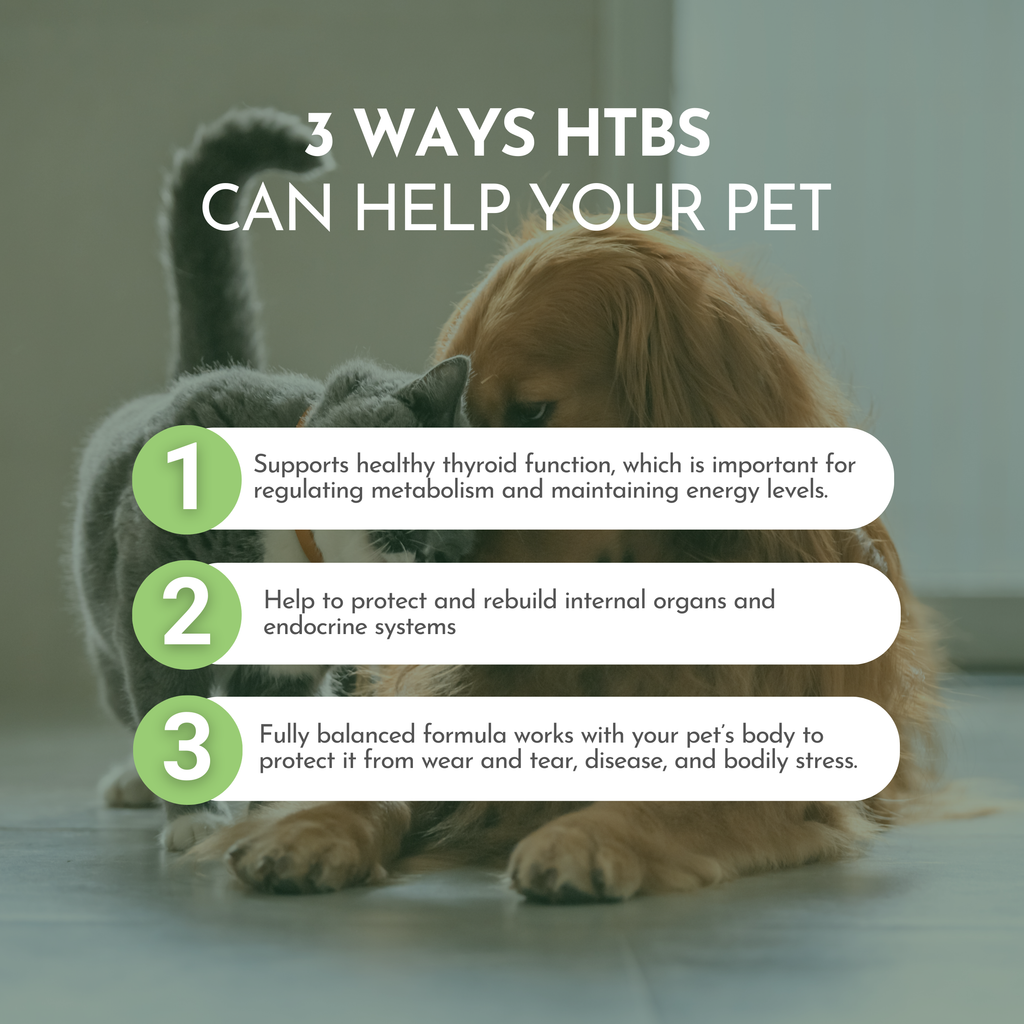 Pet Multivitamin product image 7