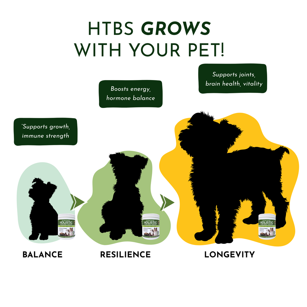 Pet Multivitamin product image 8