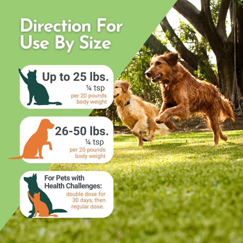 Pet Multivitamin product image 15