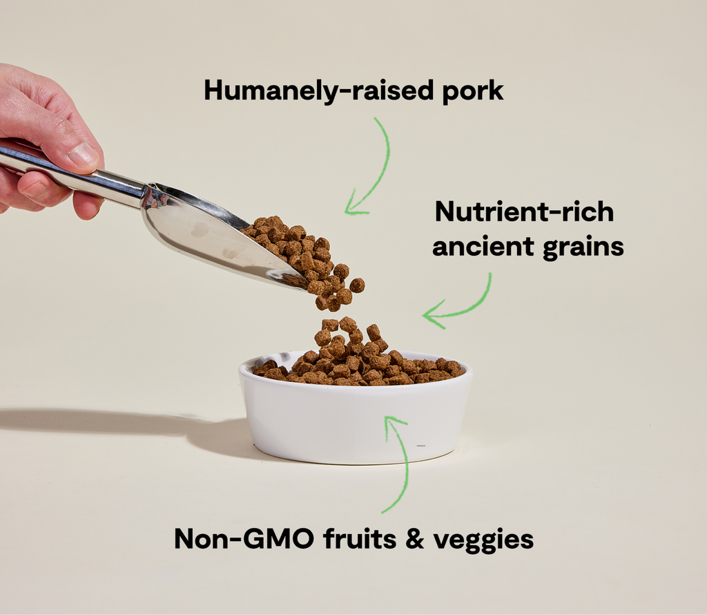 Dry Dog Food product image 5