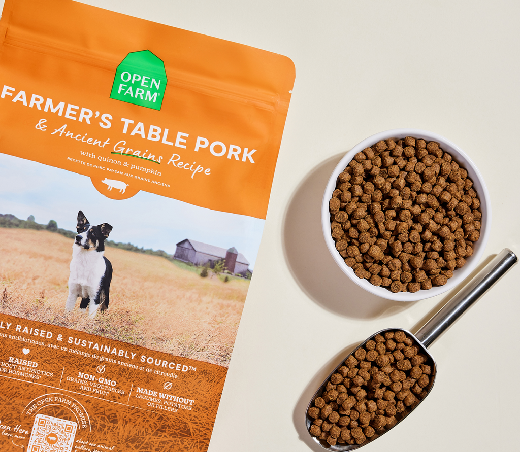 Dry Dog Food product image 6