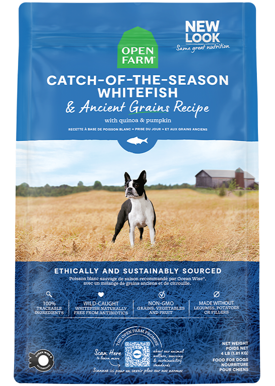 Dry Dog Food product image 1