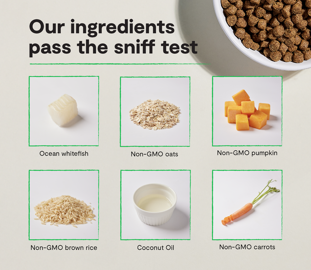 Dry Dog Food product image 3