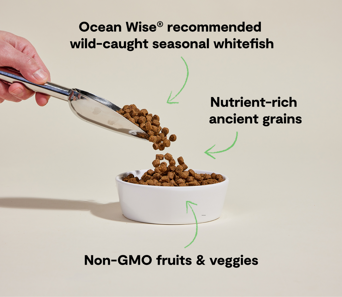 Dry Dog Food product image 5