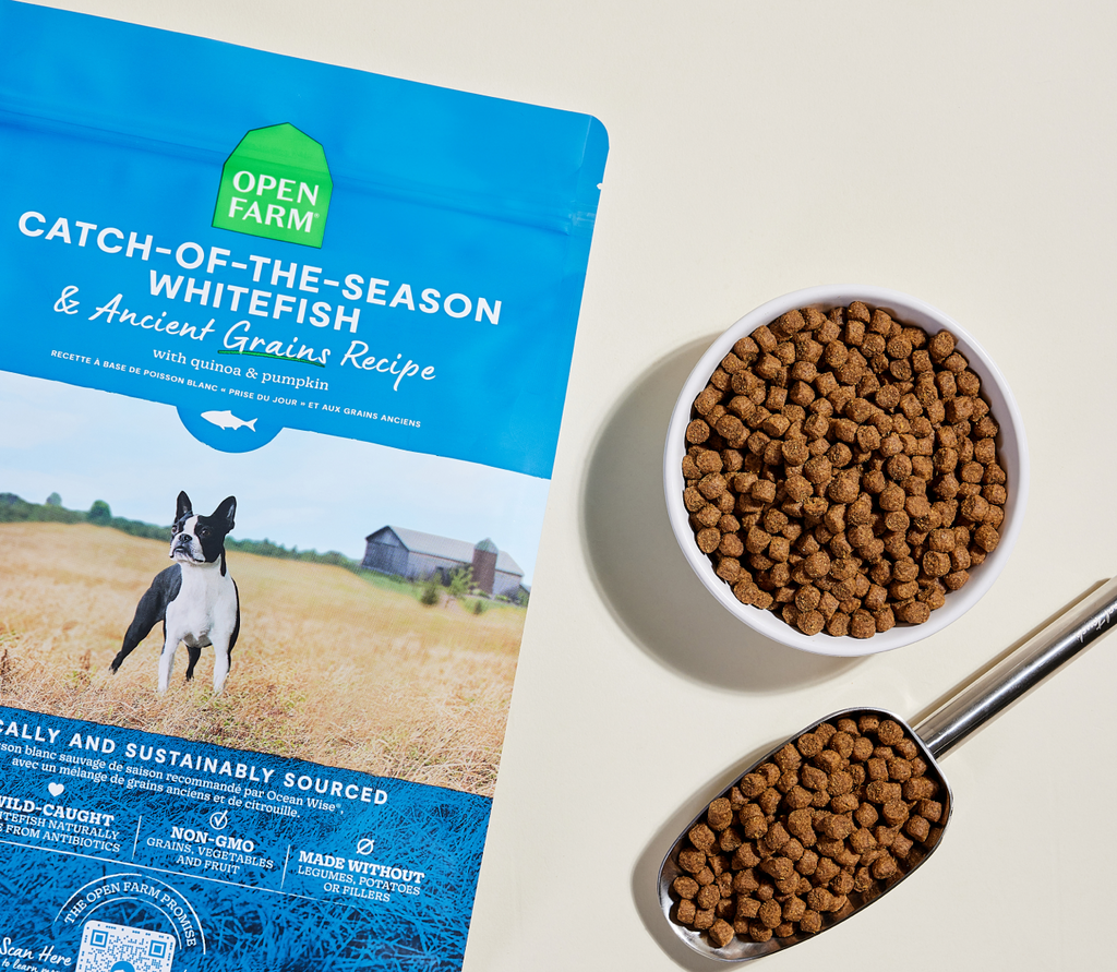 Dry Dog Food product image 6