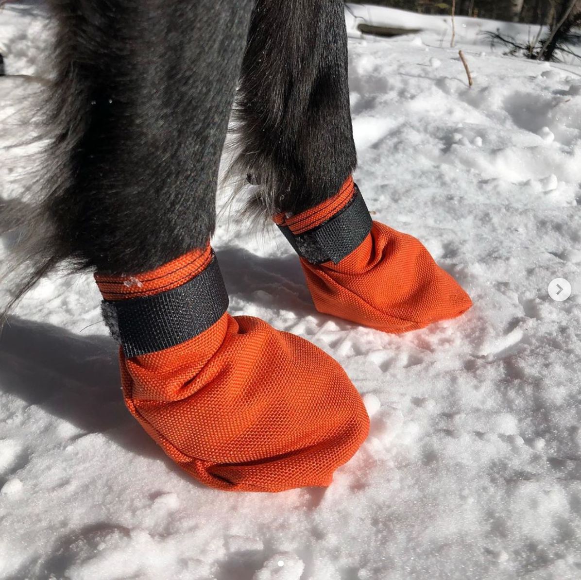Dog Boot Set product image 2