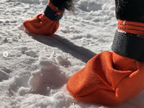 Dog Boot Set product image 3