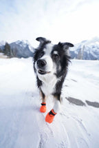 Dog Boot Set product image 6