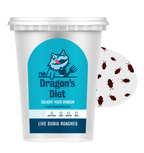 Live Gut-Loaded Dubia Roach Feeders product image 1