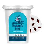 Live Gut-Loaded Dubia Roach Feeders product image 3