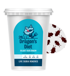 Live Gut-Loaded Dubia Roach Feeders product image 5