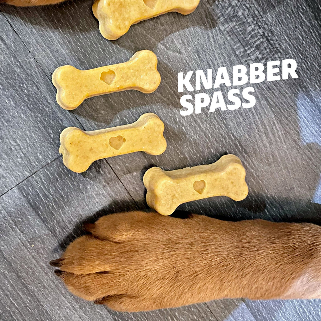 Bone-Shaped Silicone Dog Treat Baking Mold product image 17