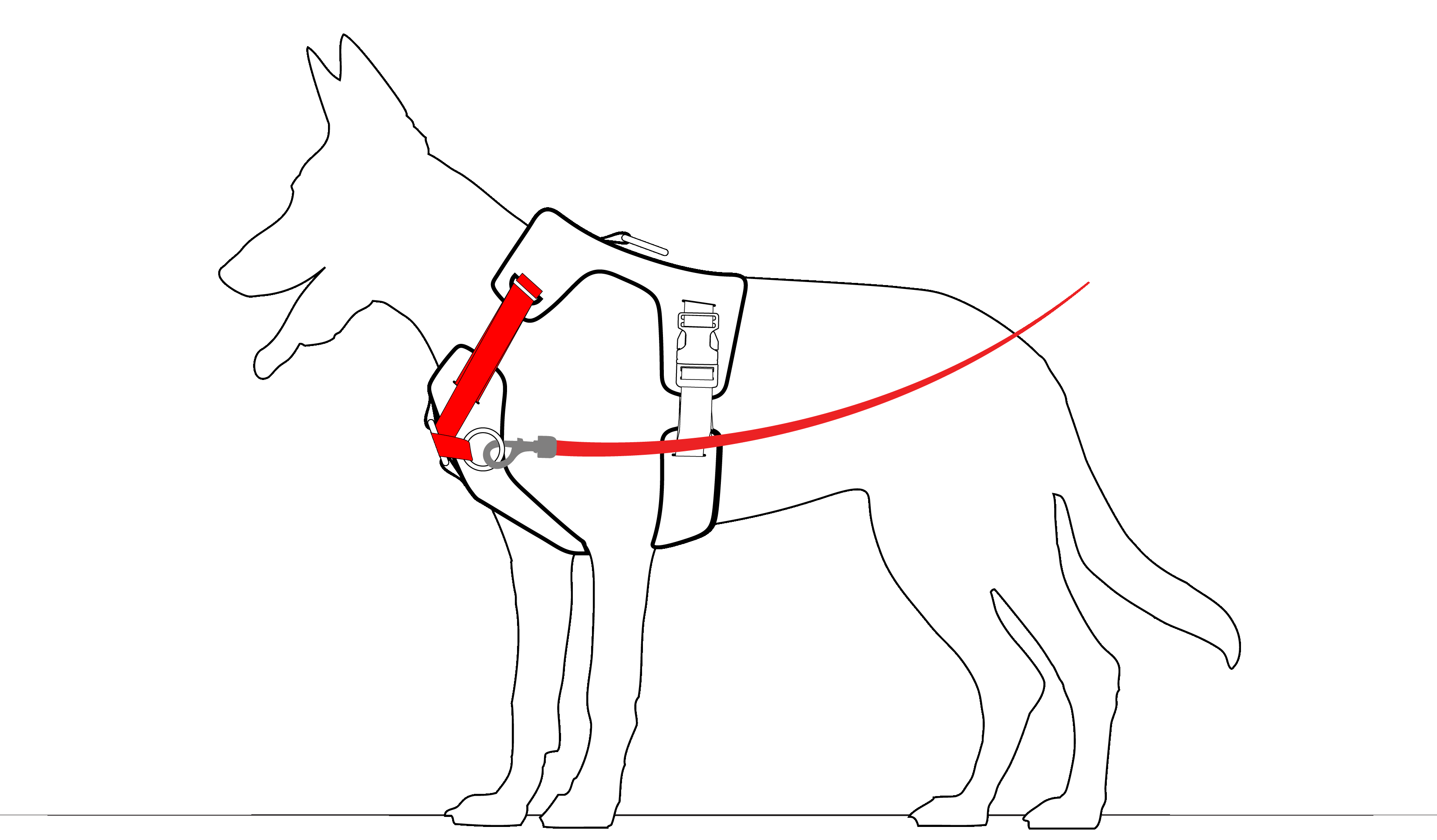 No-Pull Dog Harness product image 3