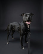 No-Pull Dog Harness product image 4