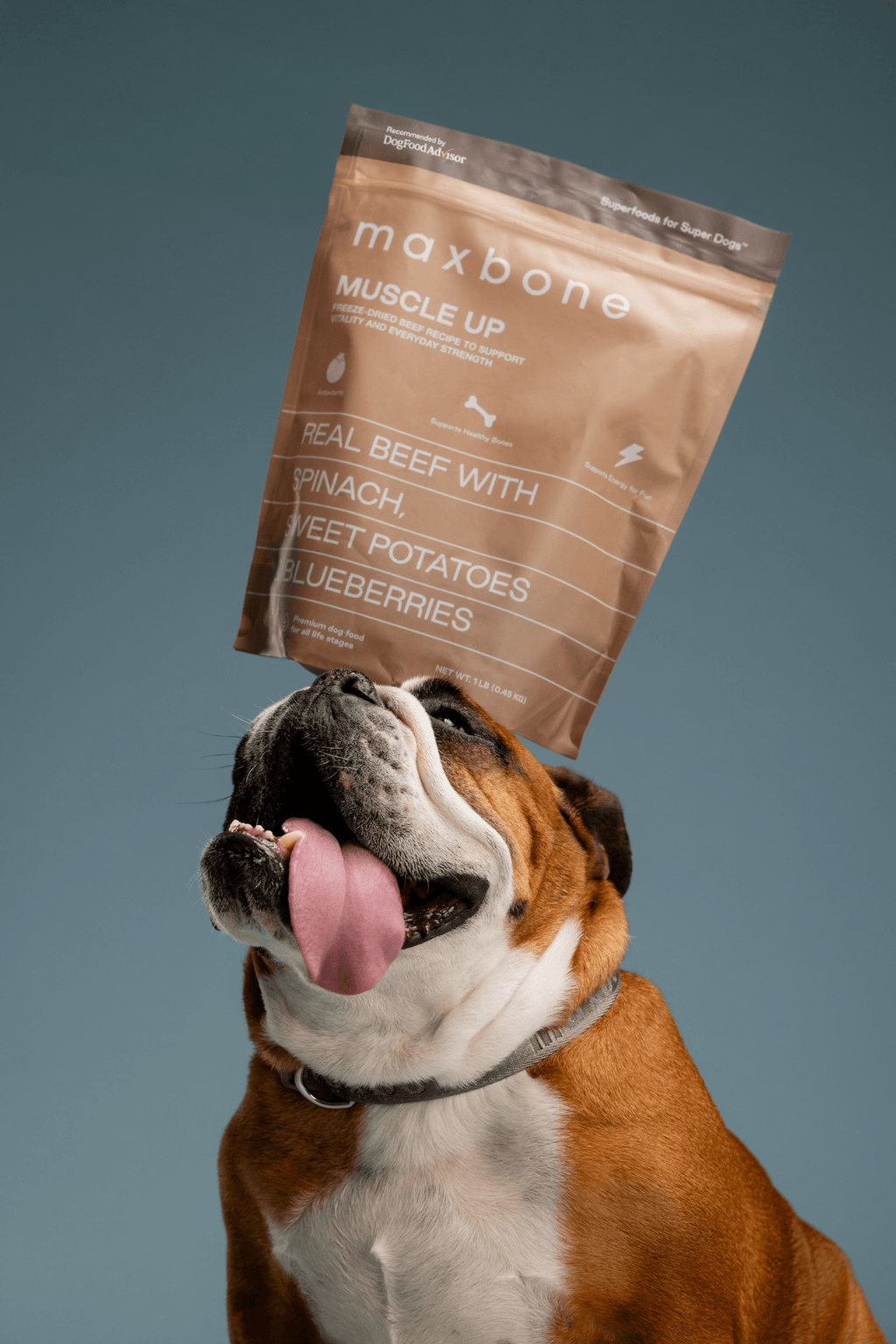 Freeze-dried Raw Beef Recipe - maxbone