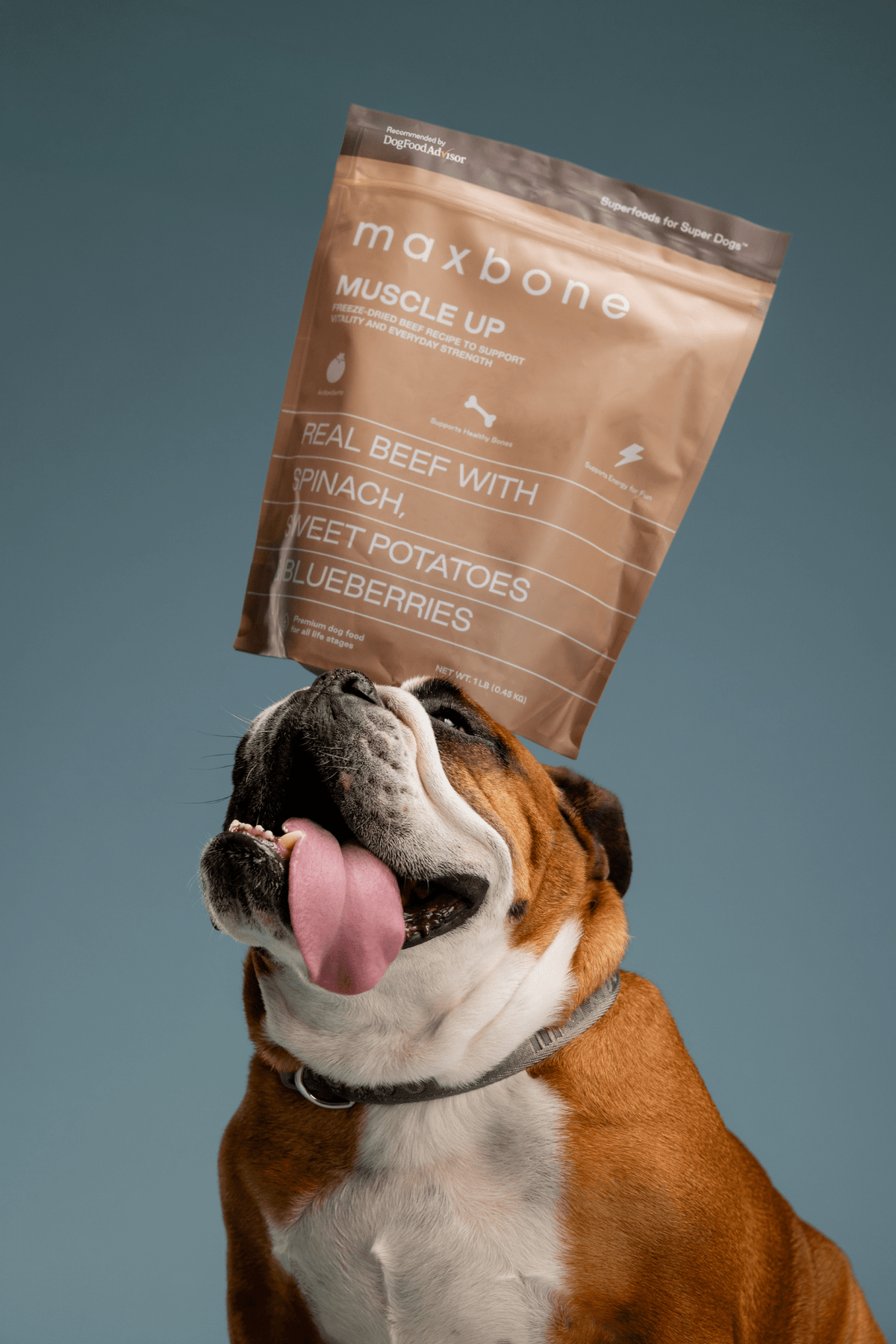 Freeze-dried Raw Beef Recipe - maxbone