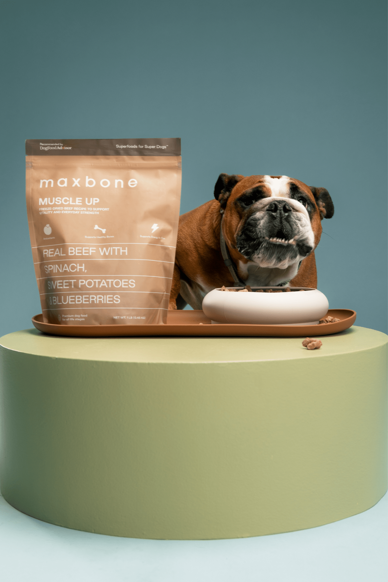 Freeze-dried Raw Beef Recipe - maxbone