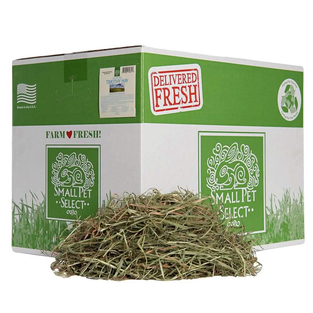 Third-Cutting Timothy Hay for Small Animals product image 5