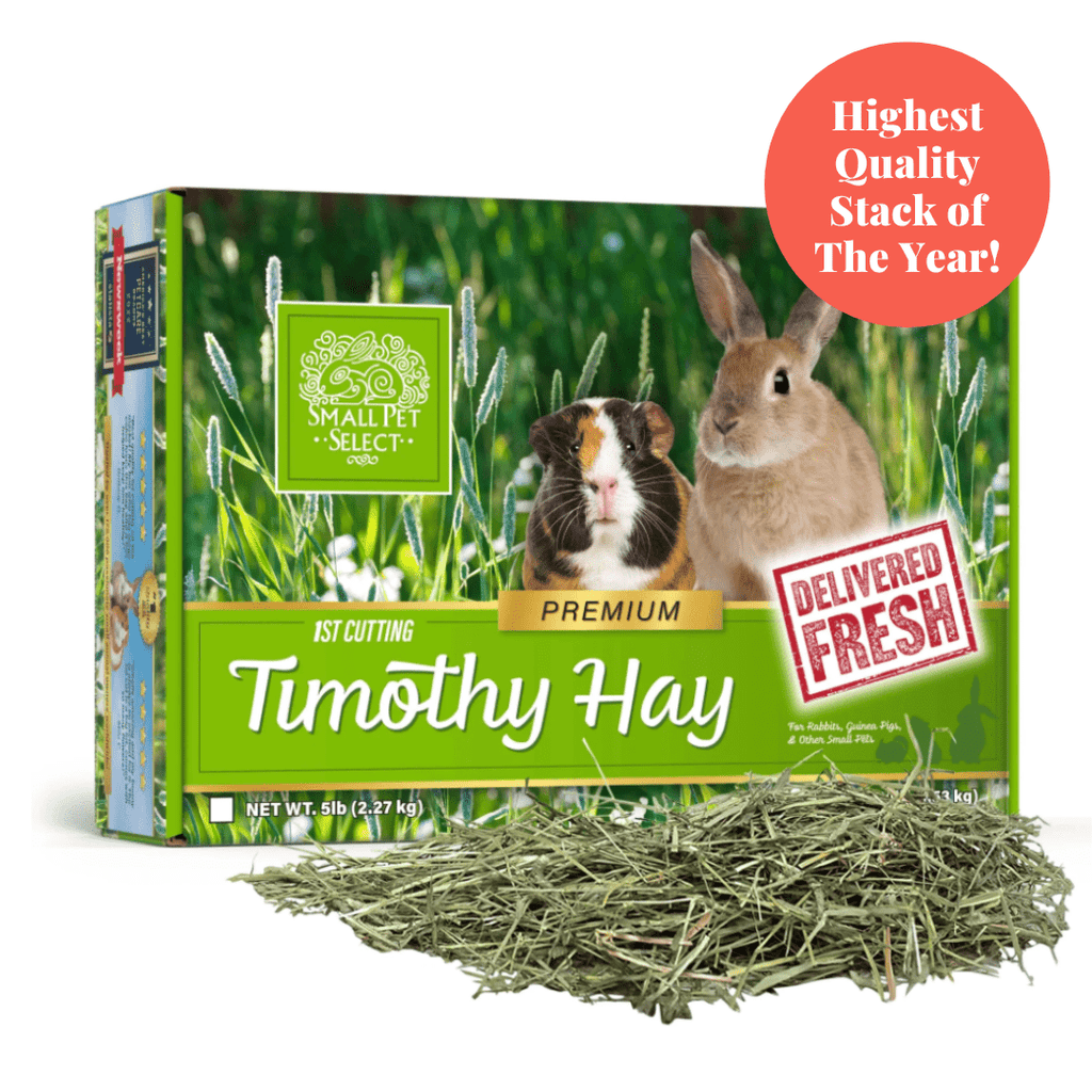First-Cutting Timothy Hay for Small Animals product image 1