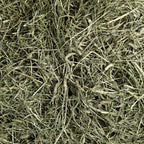 2nd Cutting Timothy Hay, :Smallpetselect
