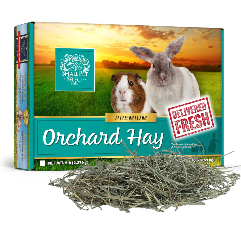Orchard Grass Hay for Small Animals product image 1