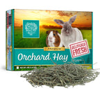 Orchard Grass Hay for Small Animals product image 1