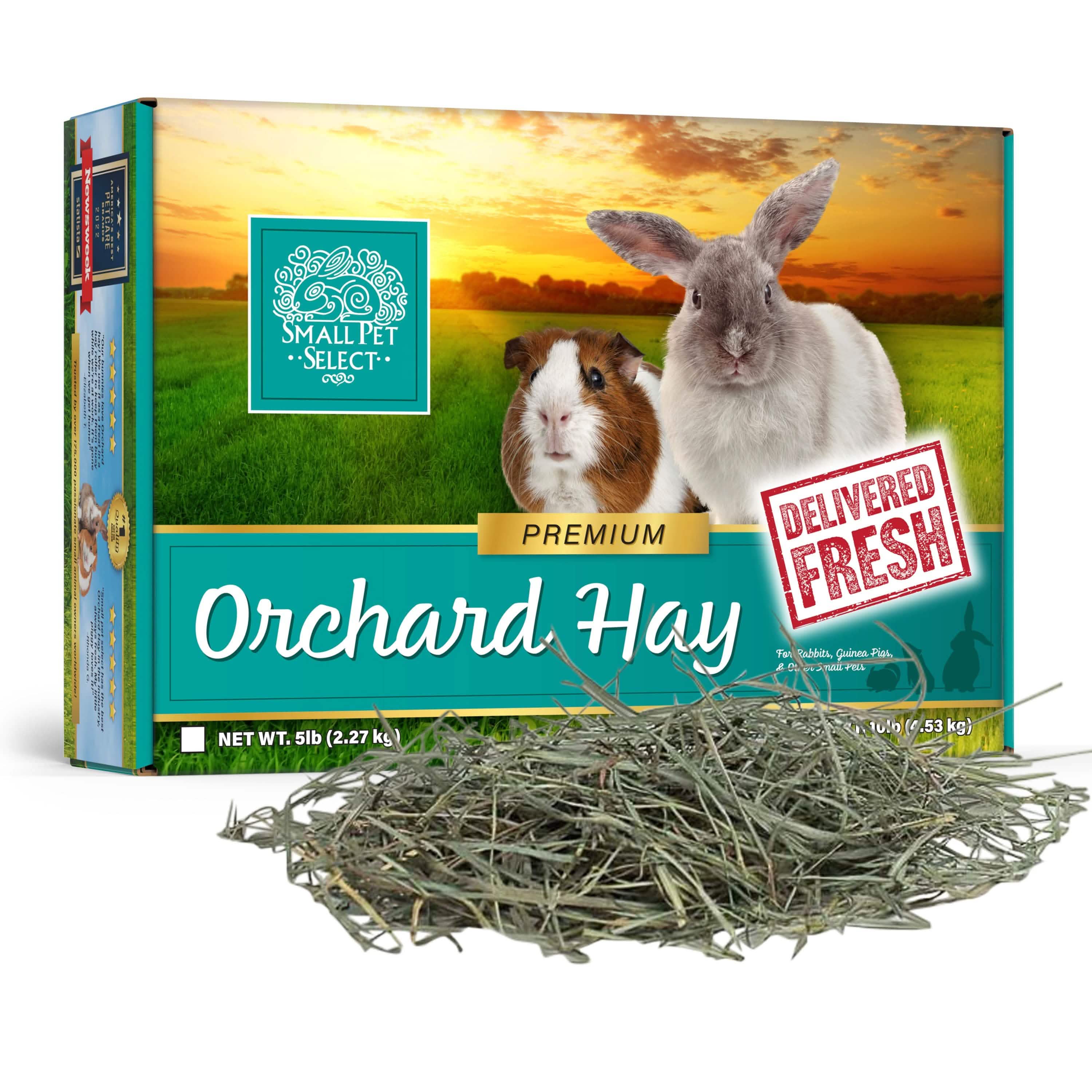 Orchard Grass Hay for Small Animals product image 1