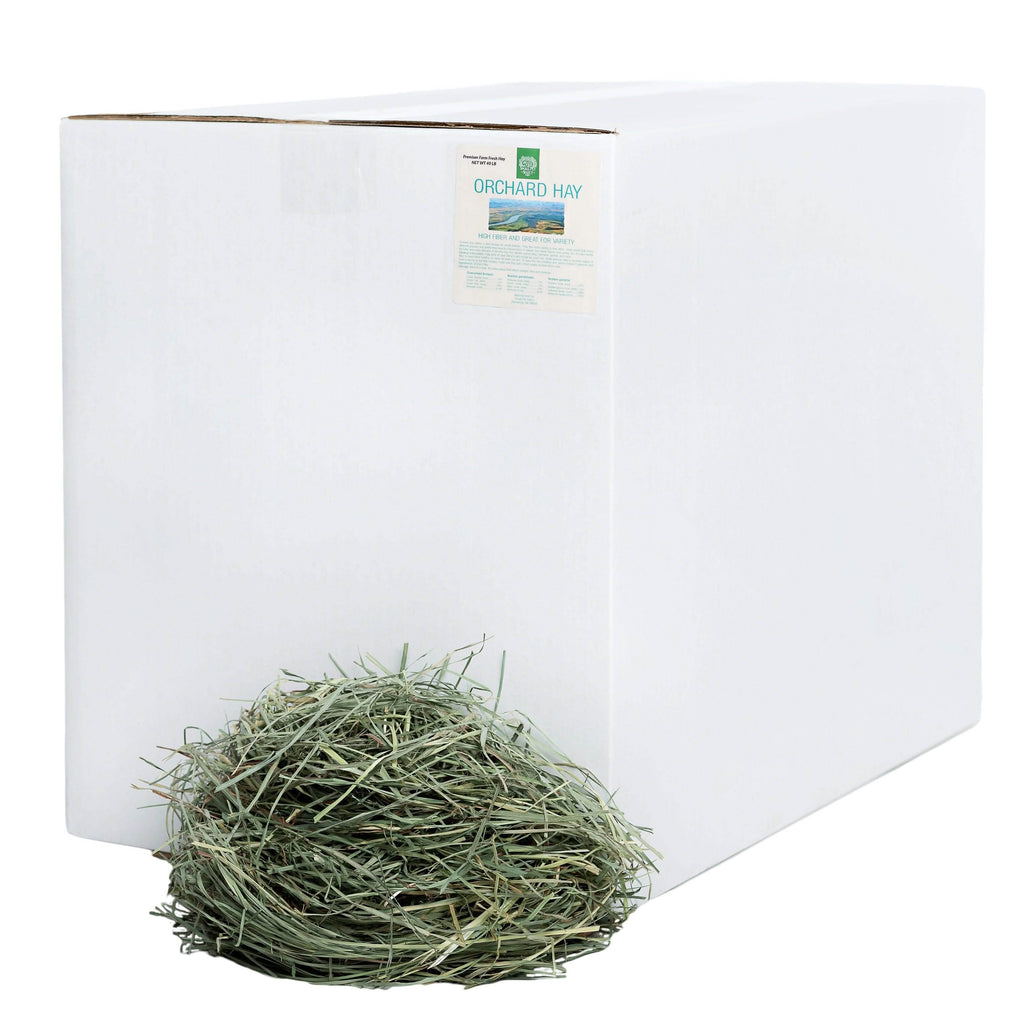 Orchard Grass Hay for Small Animals product image 4
