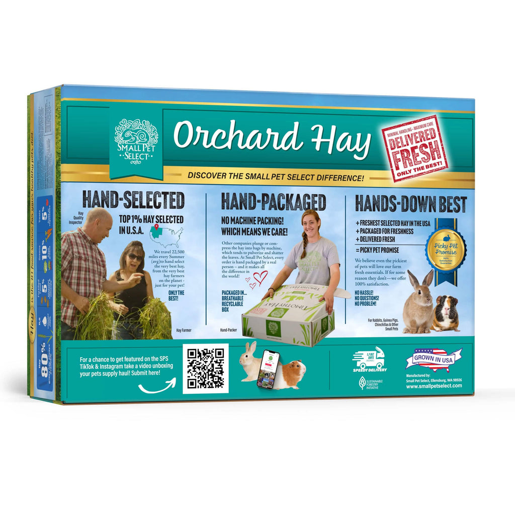 Orchard Grass Hay for Small Animals product image 5