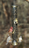 Tube Bird Feeder product image 1