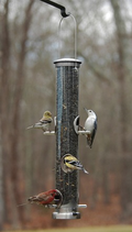 Tube Bird Feeder product image 1