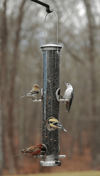 Tube Bird Feeder product image 2