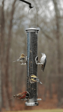 Tube Bird Feeder product image 2