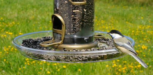 Bird Feeder Tray product image 1