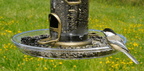 Bird Feeder Tray product image 2