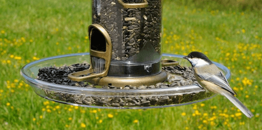 Bird Feeder Tray product image 2