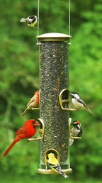 Tube Bird Feeder product image 1