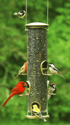 Tube Bird Feeder product image 3
