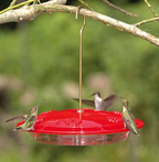 Hummingbird Feeder product image 1
