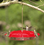 Hummingbird Feeder product image 4