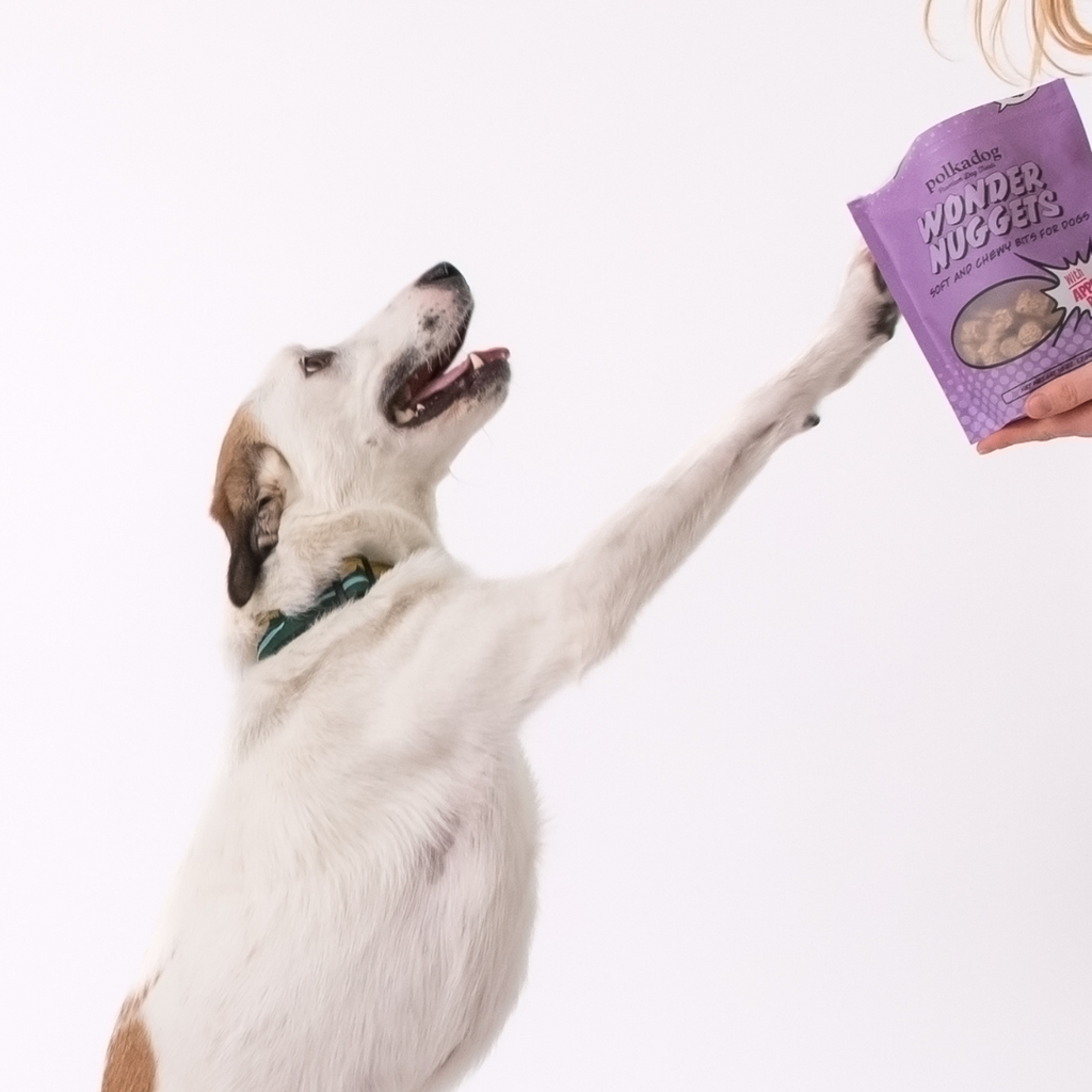 Soft Dog Treats product image 6